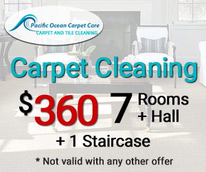 Carpet Cleaning Specials