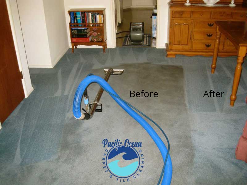 Green Carpet Cleaning Orange County
