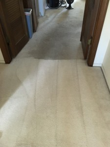 Professional-Carpet-Cleaning-Orange-County-CA